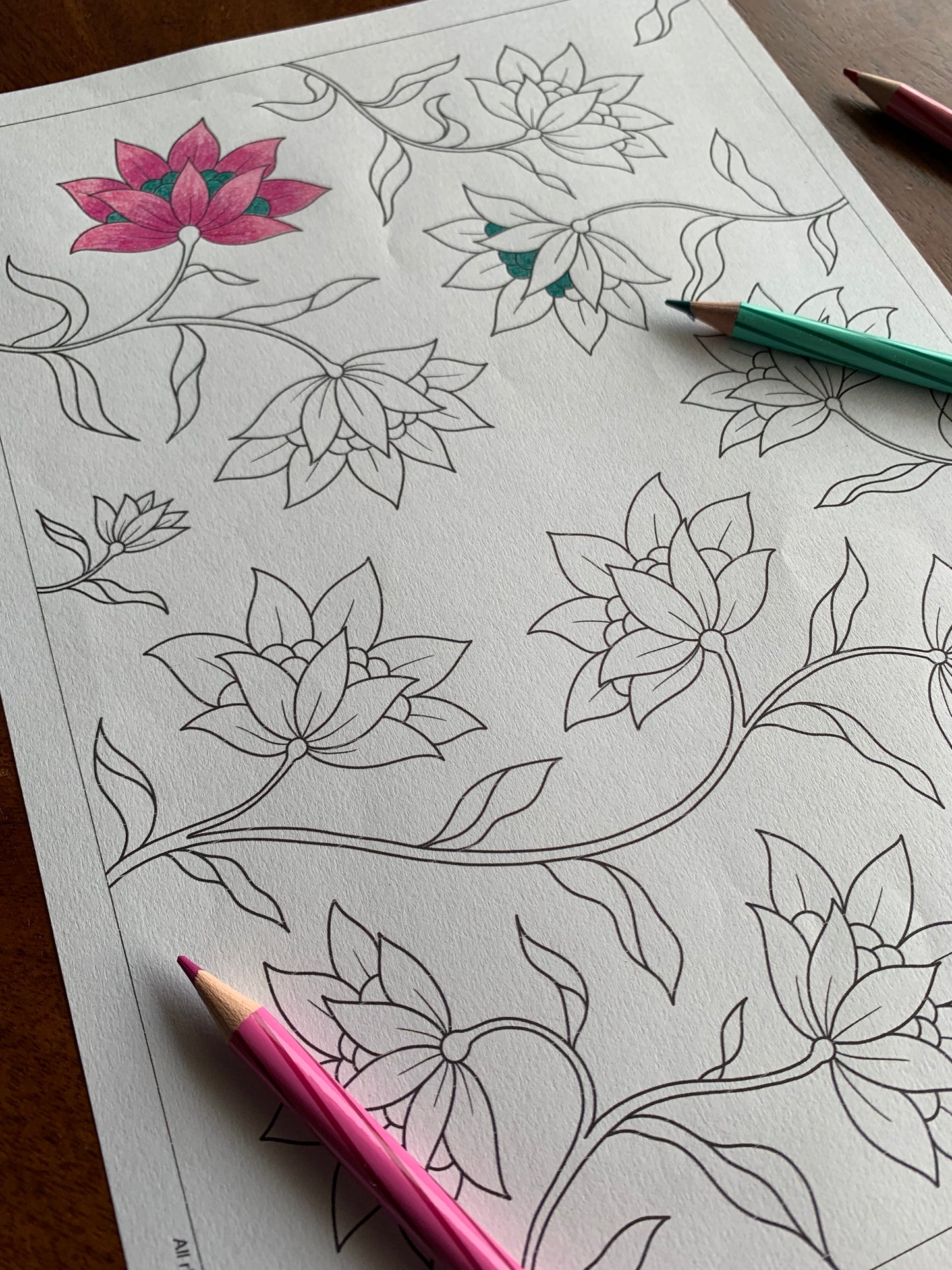 Dahlia Colouring Sheet