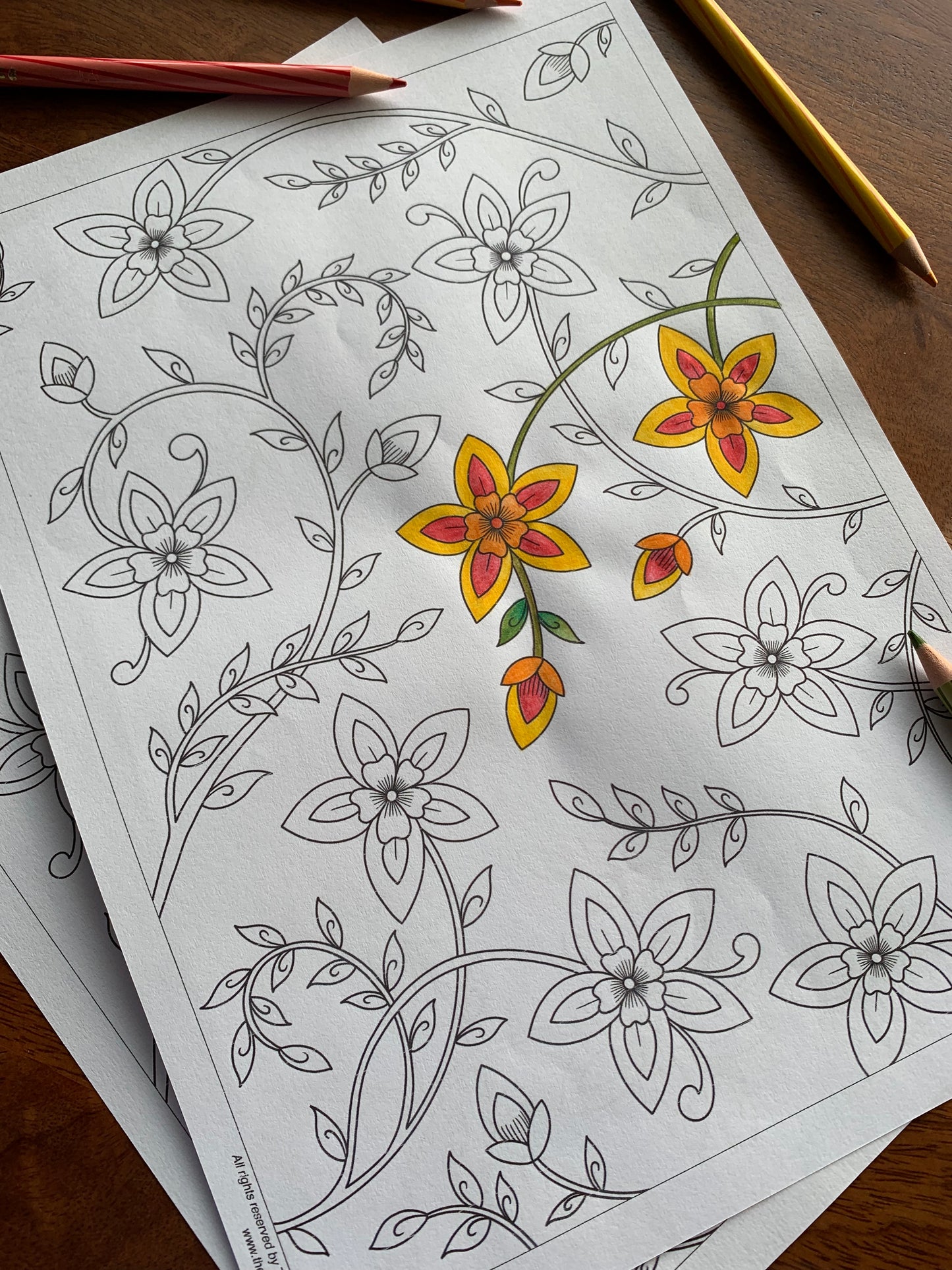 Daffodils Colouring Sheet