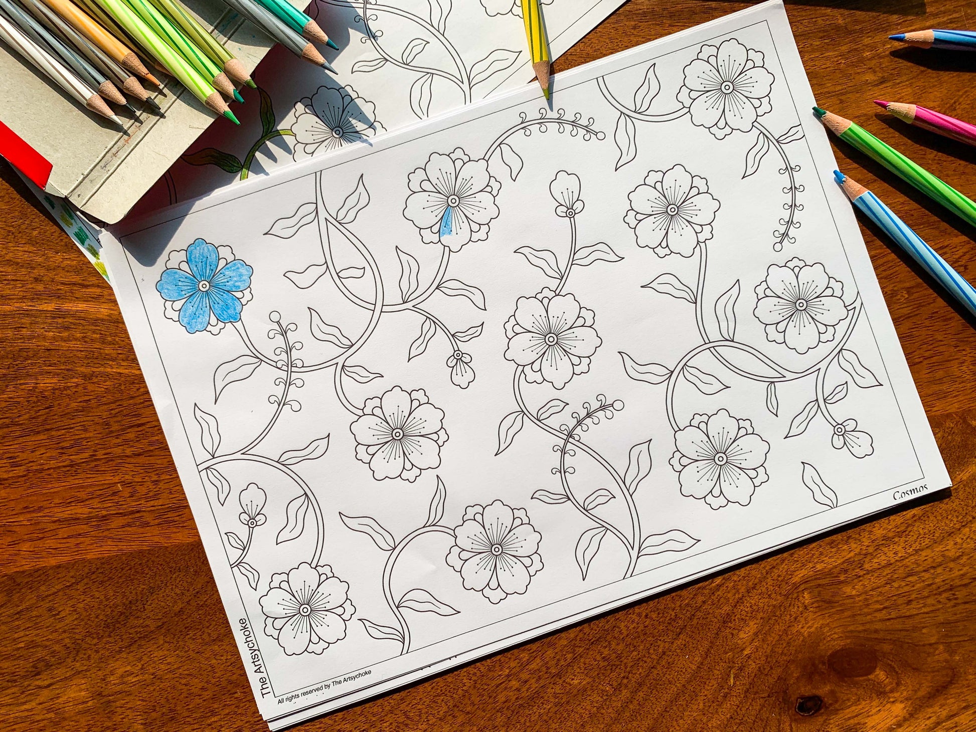 cosmos floral pattern printable colouring sheet