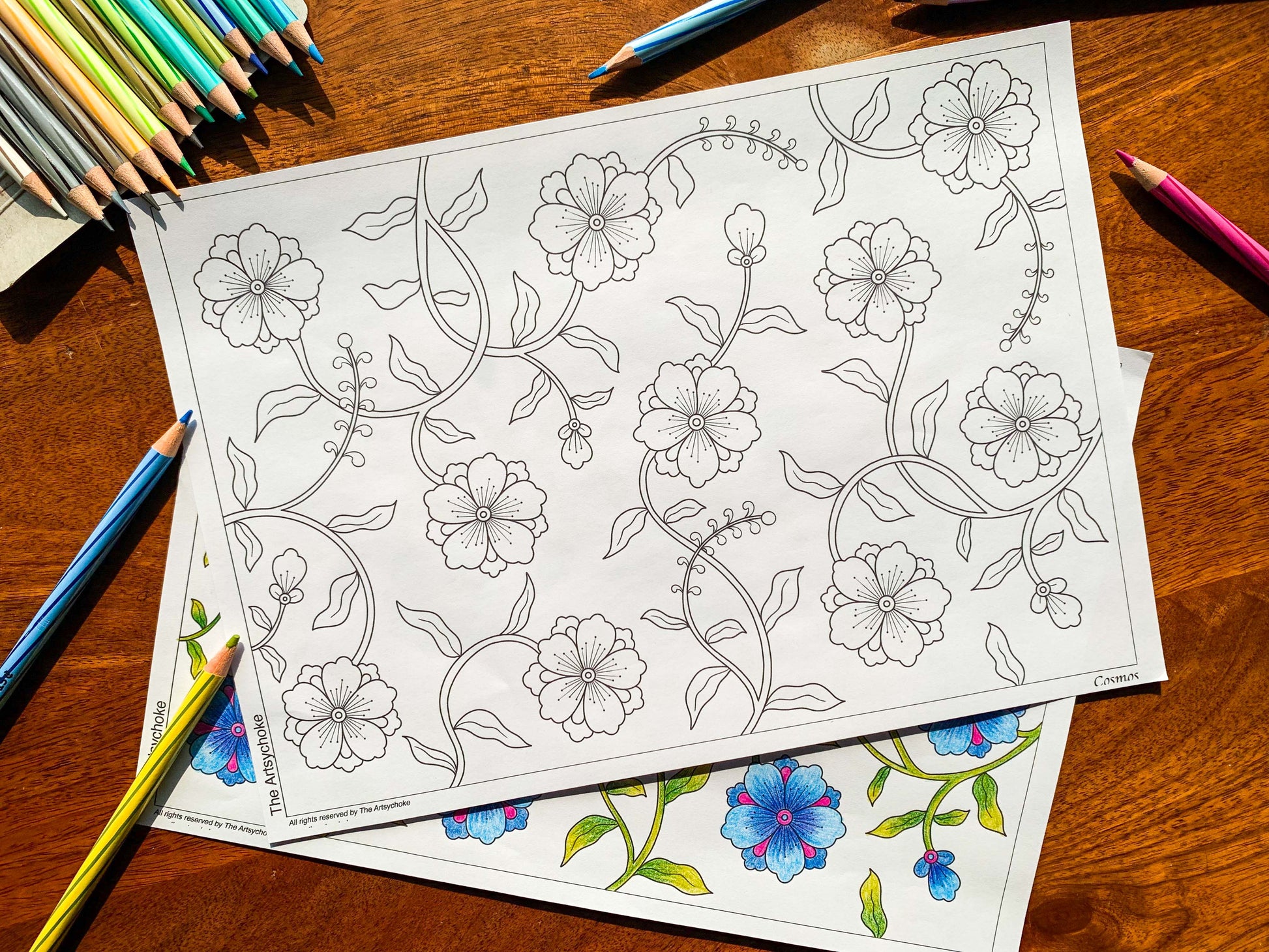 cosmos floral pattern printable colouring sheet