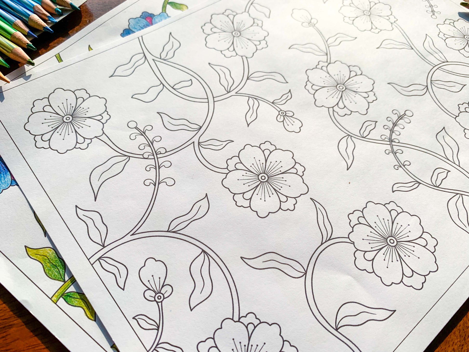cosmos floral pattern printable colouring sheet