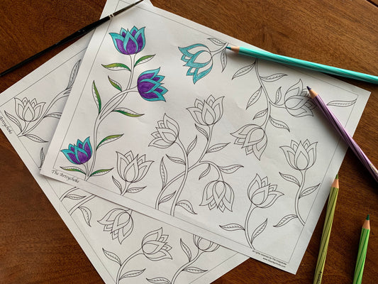 Tulips Colouring Sheet